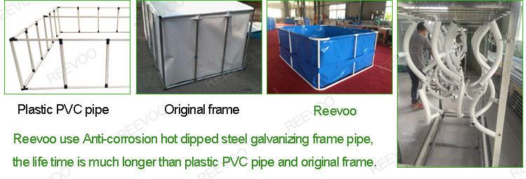 Reevoo frame.jpg